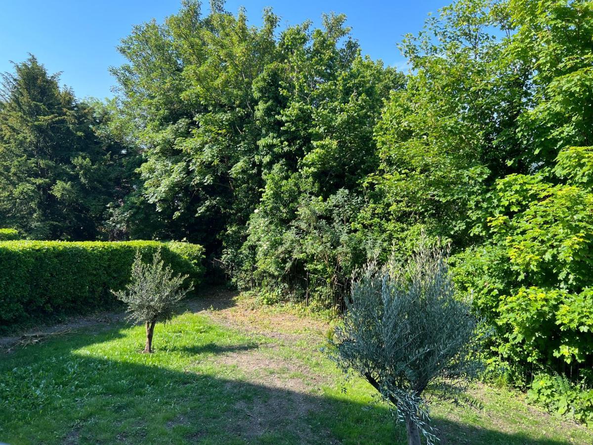 Luxury Garden Apartment Under The Castle, Dover Exteriör bild